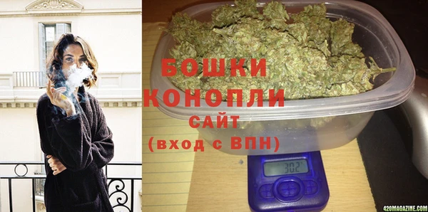 прущие грибы Покачи