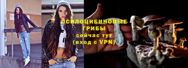 apvp Заволжск