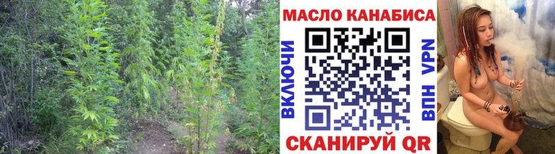 купить закладку  Славгород  Дистиллят ТГК THC oil 