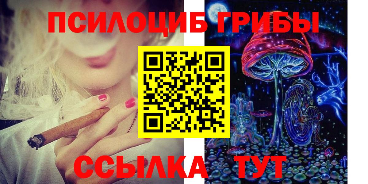 Галлюциногенные грибы Psilocybine cubensis Славгород