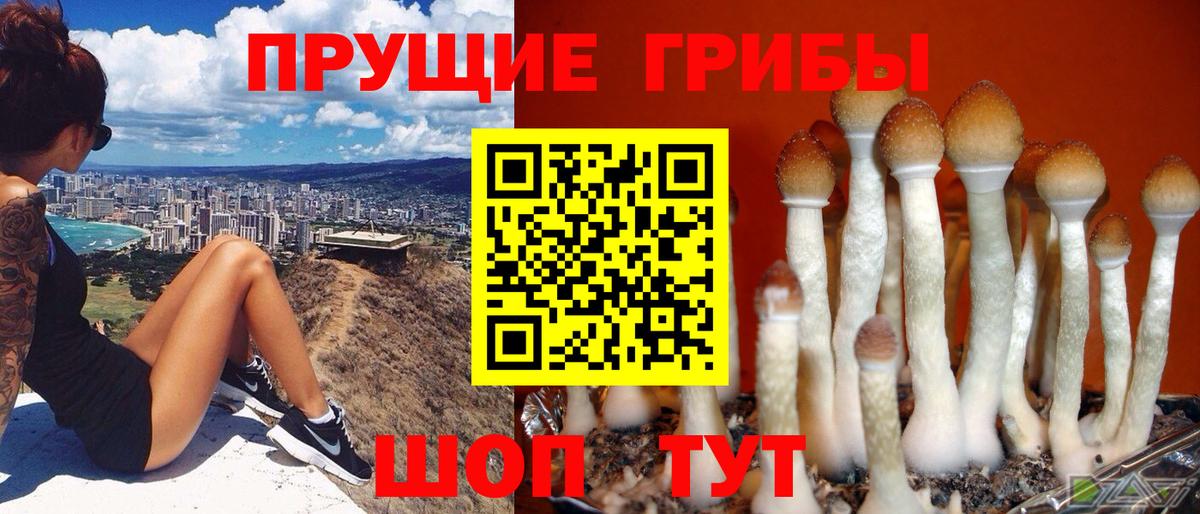 Славгород  COCAIN  NBOMe  Вход с VPN  ГАШ  МАРИХУАНА  МЕФ кристаллы 